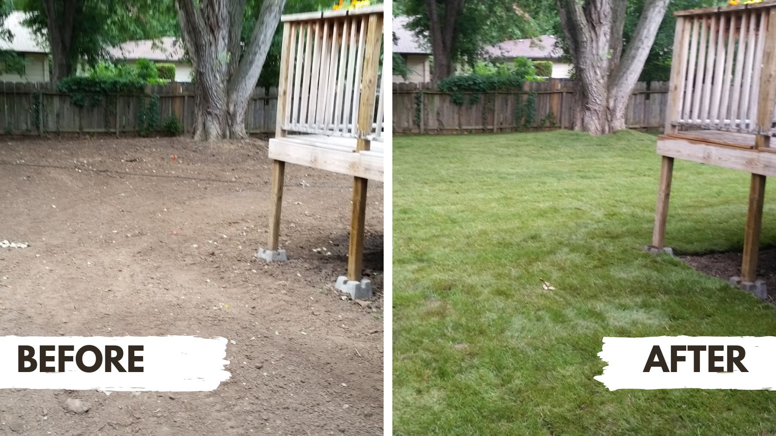 Re-grade and sod installation project in Derby, KS showing fresh green lawn