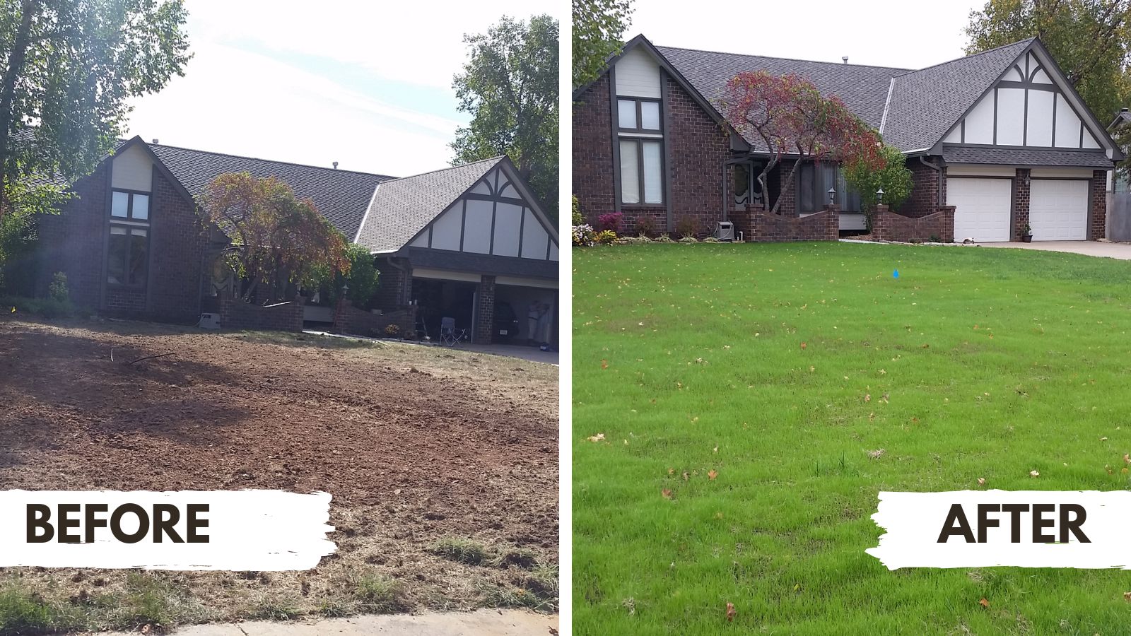 Lawn renovation with verticutting and overseeding in Derby